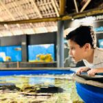 CRIANÇAS COM AUTISMO PARTICIPAM DE VISITA AO OCEANÁRIO EM AÇÃO DE INCLUSÃO EM SERGIPE