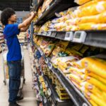 SERGIPE AMPLIA OPORTUNIDADES E TRANSFORMA REALIDADE DE JOVENS NO MERCADO DE TRABALHO
