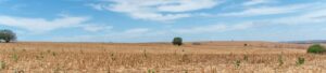 IMG-20261027-WA0034